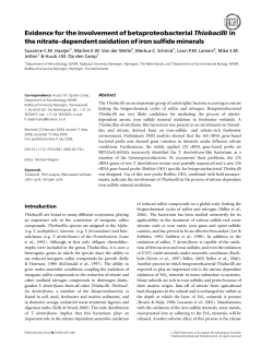 Evidence for the involvement of betaproteobacterial Thiobacilli in the