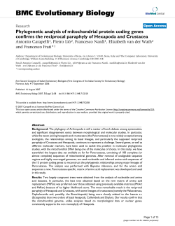 Phylogenetic analysis of mitochondrial protein coding genes