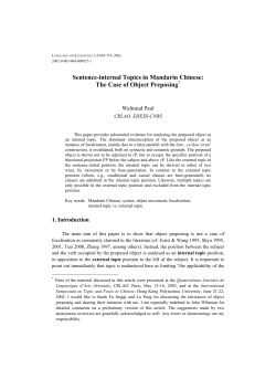 Sentence-internal Topics in Mandarin Chinese: The Case of Object