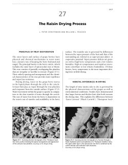 The Raisin Drying Process - UC Integrated Viticulture