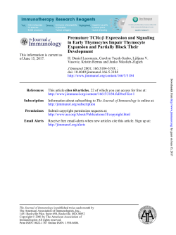 Development Expansion and Partially Block Their in Early