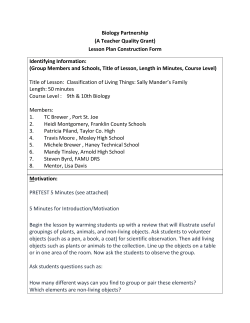 Lesson Plan Construction Form