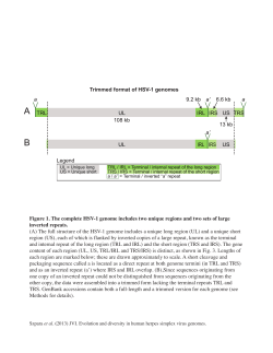 Figure 1 - Szpara Lab