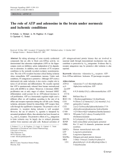 The role of ATP and adenosine in the brain under normoxic and