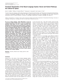 Functional Organization of the Neural Language
