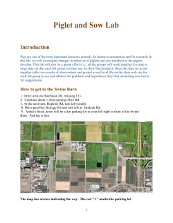 Piglet and Sow Lab - SmartSite
