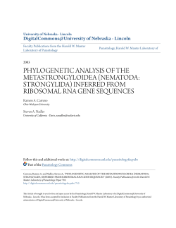 phylogenetic analysis of the metastrongyloidea