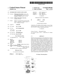 US Patent - Rice Scholarship Home