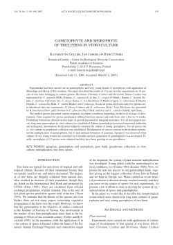 GAMETOPHYTE AND SPOROPHYTE OF TREE FERNS IN VITRO