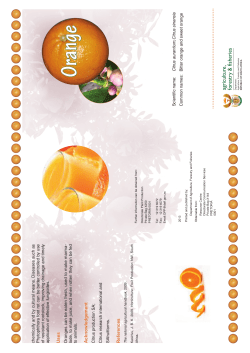 Brochure Orange