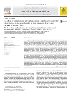 Induction of oxidative and nitrosative damage leads to