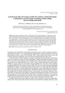 Growth of juvenile red swamp crayfish (Procambarus
