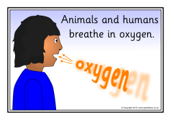 Oxygen cycle posters - canadablanch2primaria