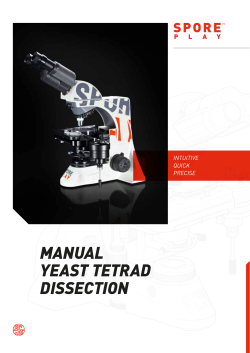 Manual yeast tetrad dissection