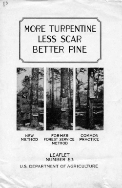 more turpentine less scar better pine