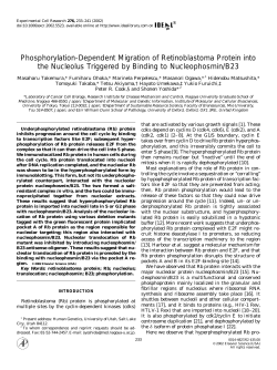 Phosphorylation-Dependent Migration of Retinoblastoma Protein