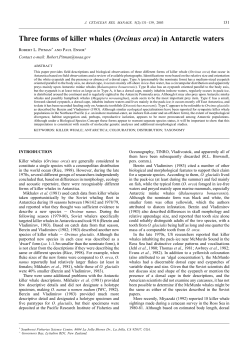 Three forms of killer whales (Orcinus orca) in Antarctic waters
