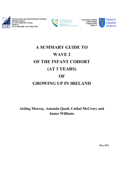 a summary guide to wave 2 of the infant cohort