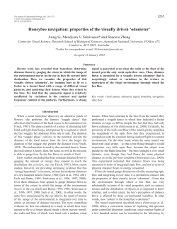 Honeybee navigation: properties of the visually driven `odometer`