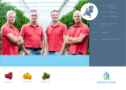 Red, yellow, and green sweet peppers 40 hectares GlobalGap