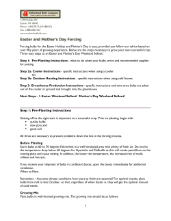 Easter and Mother`s Day Forcing