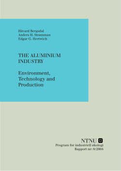 the aluminium industry