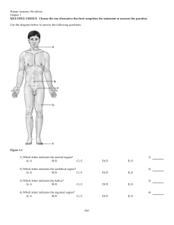 Human Anatomy 8th edition Chapter 1 MULTIPLE CHOICE. Choose