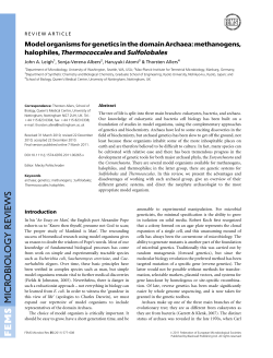 Model organisms for genetics in the domain Archaea: methanogens
