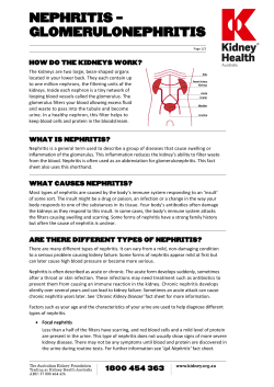 nephritis &ndash; glomerulonephritis