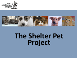 The Shelter Pet Project Presentation