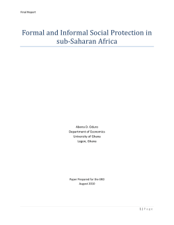 Formal and Informal Social Protection in sub‐Saharan Africa