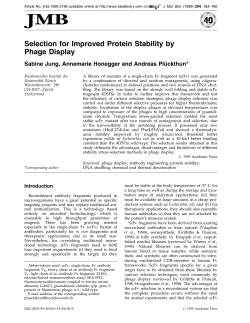 Selection for Improved Protein Stability by Phage Display