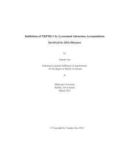 Inhibition of TRPML1 by Lysosomal Adenosine