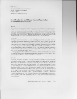 Shoot Production and Mineral Nutrient Assimilation in Cheatgrass