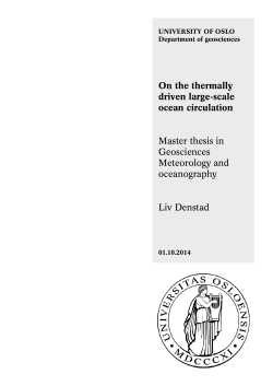 On the thermally driven large-scale ocean circulation Master