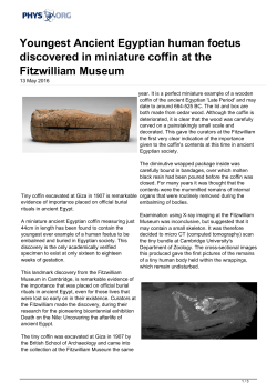 Youngest Ancient Egyptian human foetus discovered in