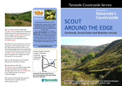 Scout Around The Edge