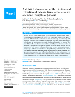 A detailed observation of the ejection and retraction of