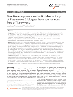 Bioactive compounds and antioxidant activity of