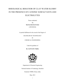 rheological behavior of clay water slurry in the