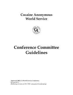 Conference Committee Guidelines