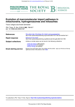 Lithgow T. and Schneider A. (2010)