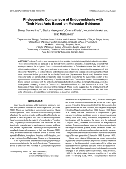 Phylogenetic Comparison of Endosymbionts with Their Host Ants