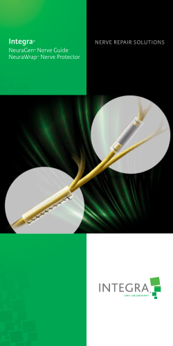 Nerve Repair Solutions