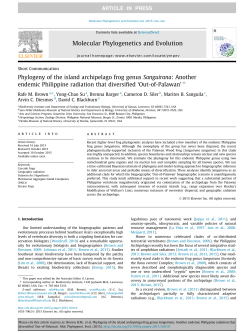 Phylogeny of the island archipelago frog genus
