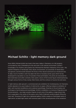 Essay on light memory dark ground, essay by Eliza