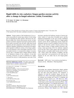 Rapid shifts in Atta cephalotes fungus-garden