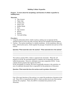 Building Cellular Organelles