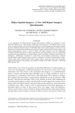 Object-Spatial Imagery