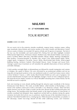 Malawi - Birdquest